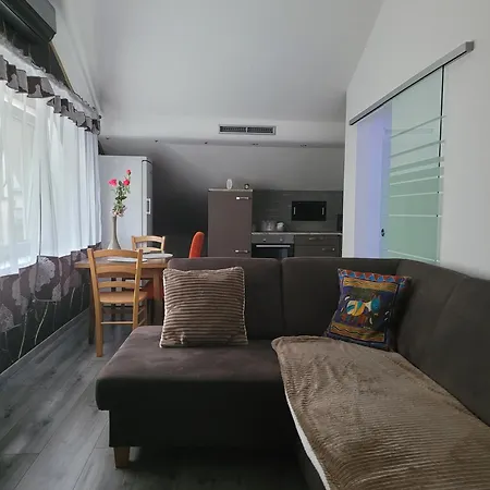 Ciubotaru Dumitru Bad Ischl