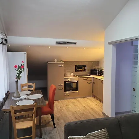 Ciubotaru Dumitru Apartment Bad Ischl