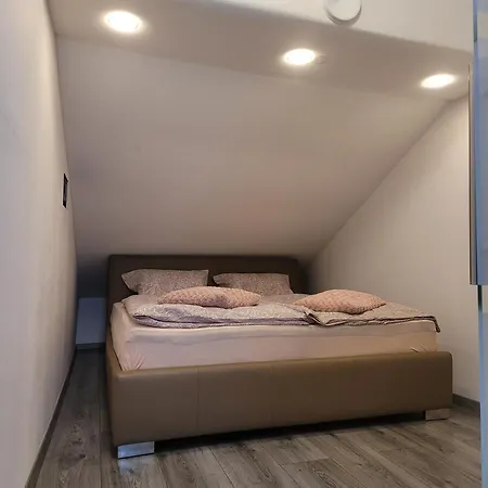 Ciubotaru Dumitru Apartment